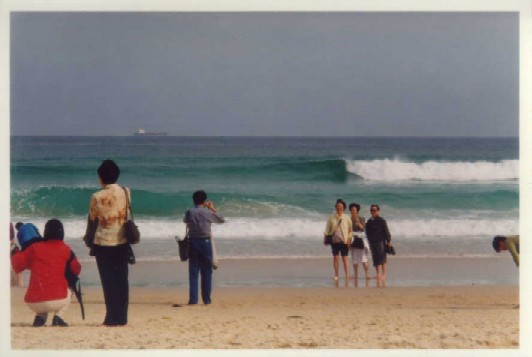 ocean tourists